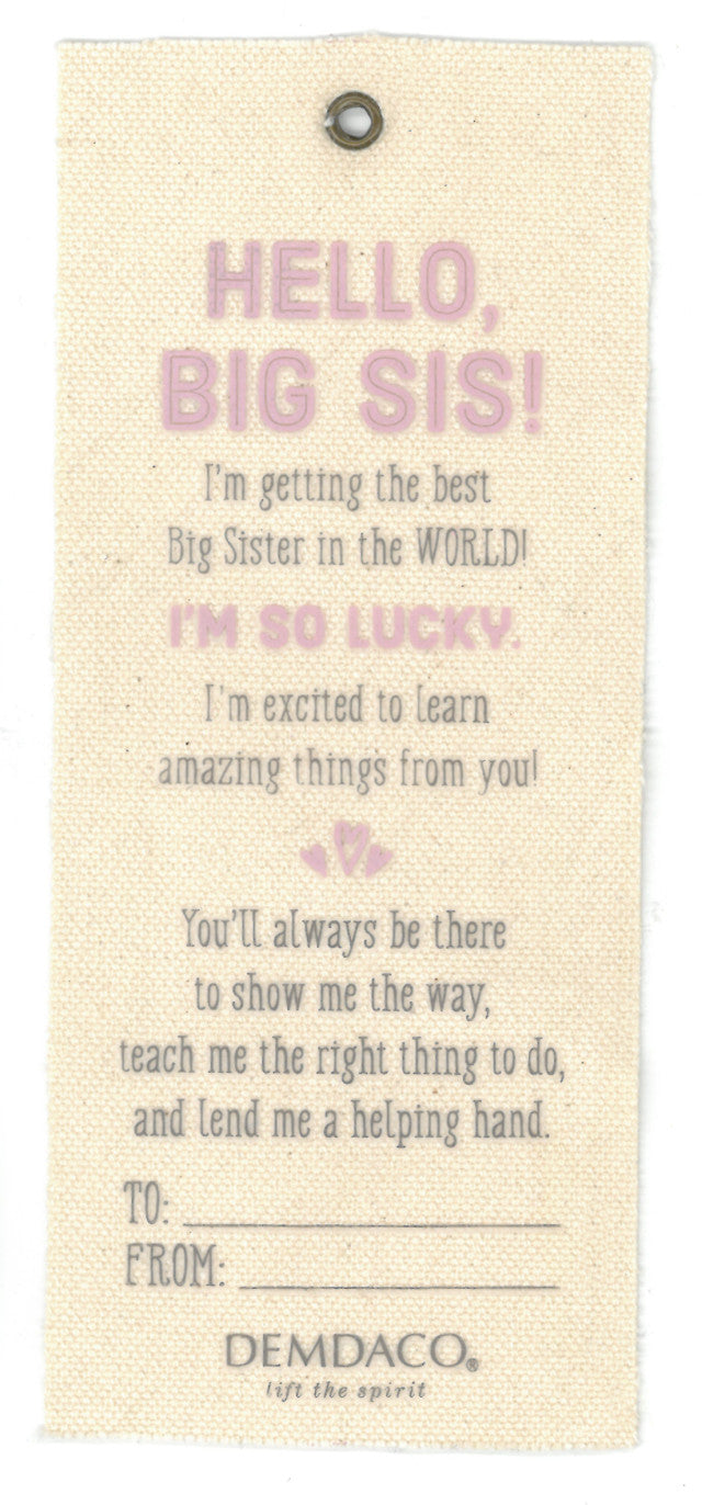 Big Sister: Gift from the New Kid