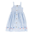 Blue Stripe Dress