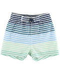 Coastal Stripe Swim Trunk