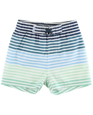 Coastal Stripe Swim Trunk