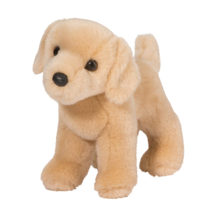 Cornell Yellow Lab