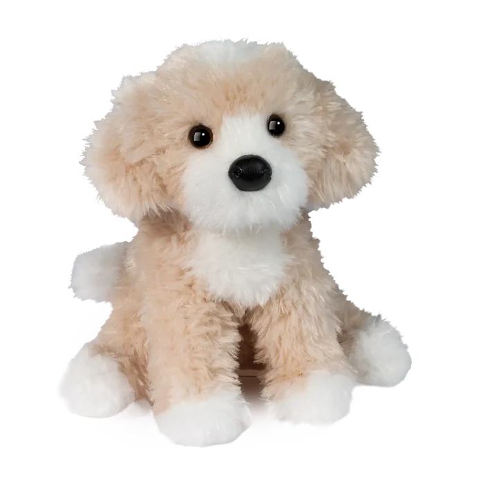 Darcy Golden Doodle