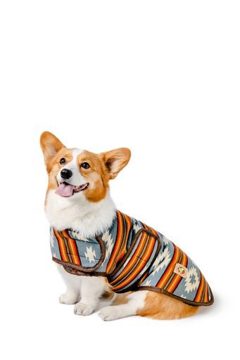 Denim Sunset Dog Blanket Coat
