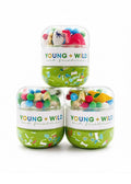 Dinosaur Sensory Dough Jar