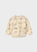 Dinosaur Sweatshirt
