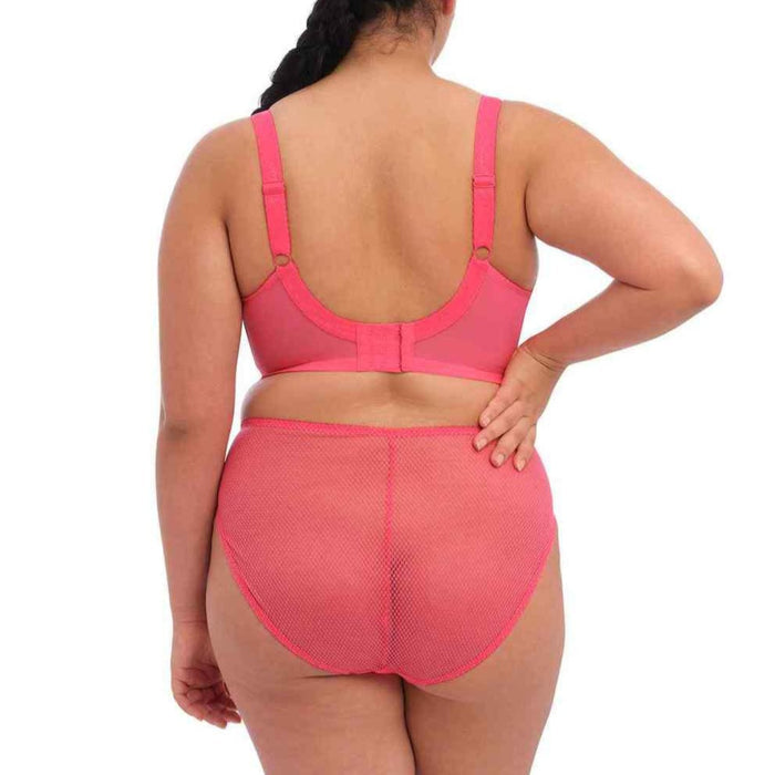 Elomi Charley High Leg Brief EL4386 - Honeysuckle