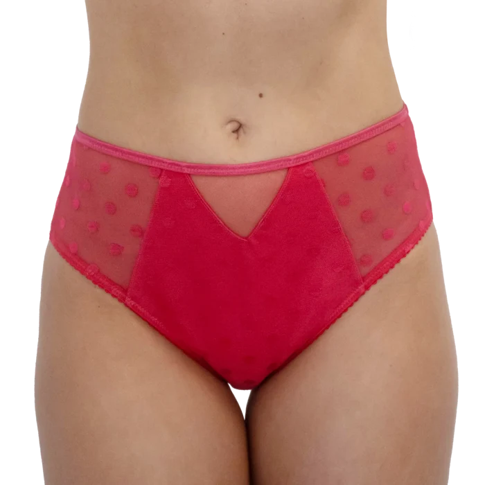 Fit Fully Yours Carmen Polka Dot Bikini Brief U2492 - Teaberry