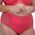 Fit Fully Yours Carmen Polka Dot Brief U2493 - Teaberry