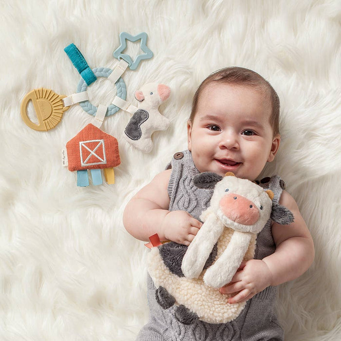 Itzy Ritzy - Bitzy Busy Ring™ Teething Activity Toy: Farm