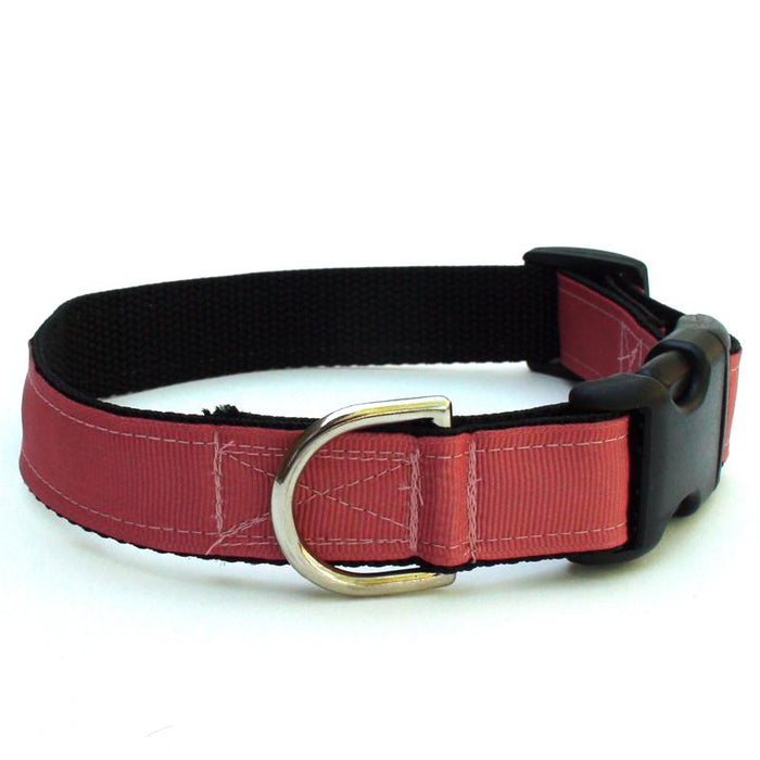 Loft Cinnamon Collar