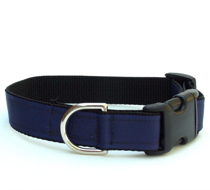 Loft Navy Collar