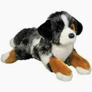 Maizie Australian Shepherd