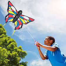 Mini Butterfly Kite