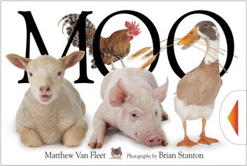 Moo!