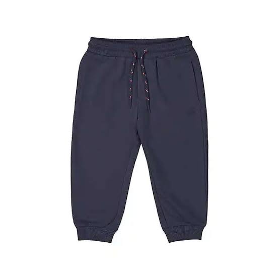 Navy Fleece Jog Pant
