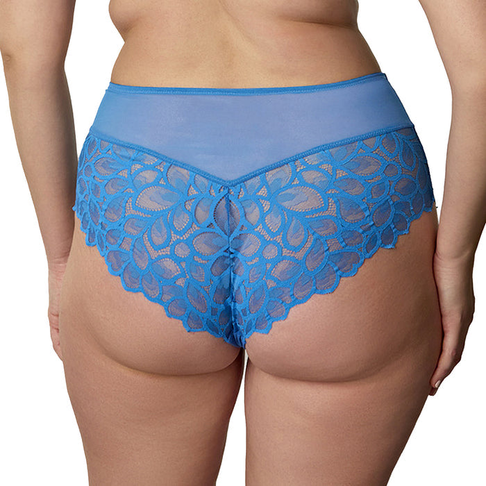 Panache Allure Deep Brief 10764 Azure Blue Back