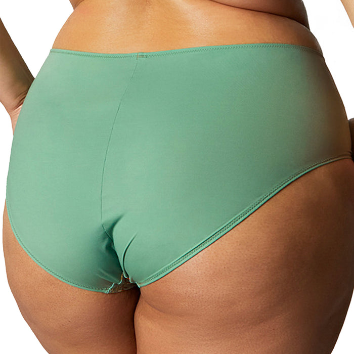 Panache Sculptresse Esme Deep Brief 10924 Wonderland Back
