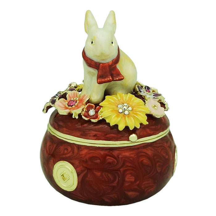 Rabbit