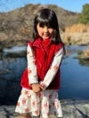 Santa Dress