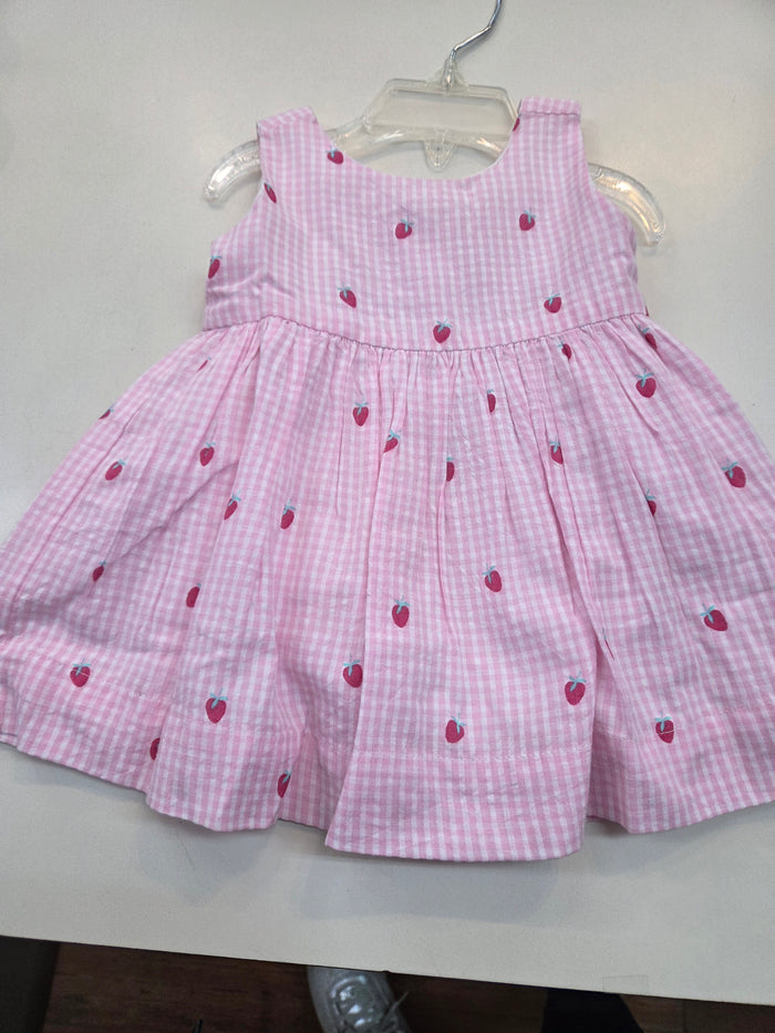 Teeny Berries Gingham Sleeveless Dress